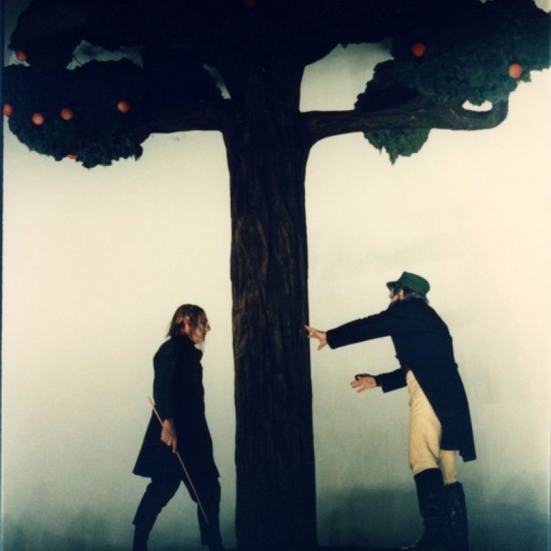 Två män på var sin sida av ett träd