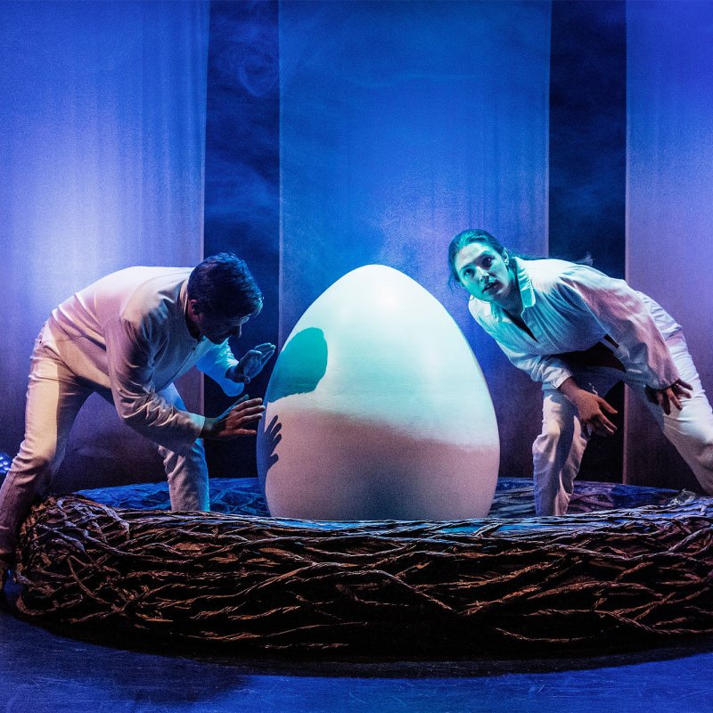 Två personer undersöker ett stort ägg i ett fågelbo.