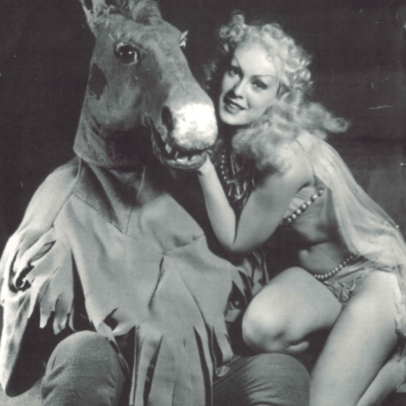 kvinna bredvid häst
