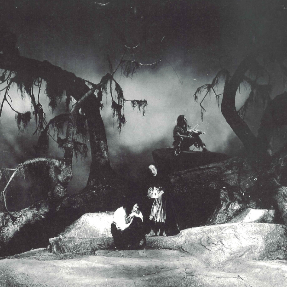 tre personer ute i en mörk skog