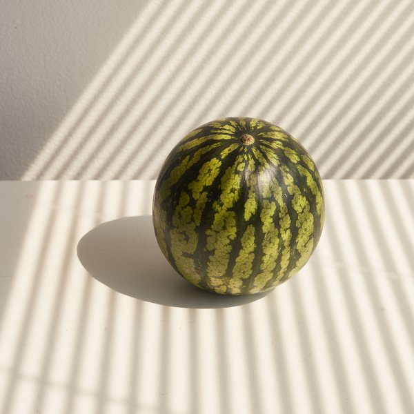 En vattenmelon ligger på ett vitt bord i ljuset från ett persiennskyddat fönster.